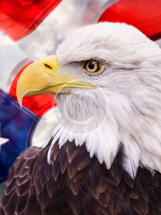 What Presidential Candidates Need.